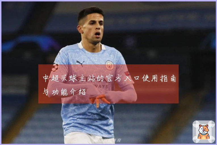 中超买球主站的官方入口使用指南与功能介绍