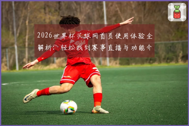 2026世界杯买球网首页使用体验全解析：轻松找到赛事直播与功能介绍
