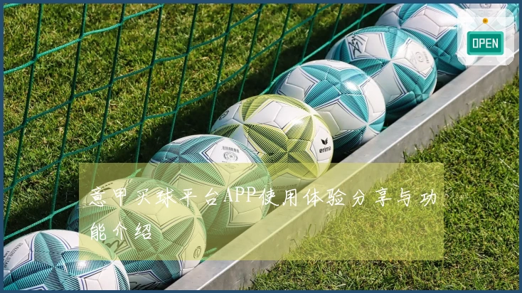 意甲买球平台APP使用体验分享与功能介绍
