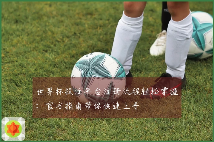 世界杯投注平台注册流程轻松掌握：官方指南带你快速上手